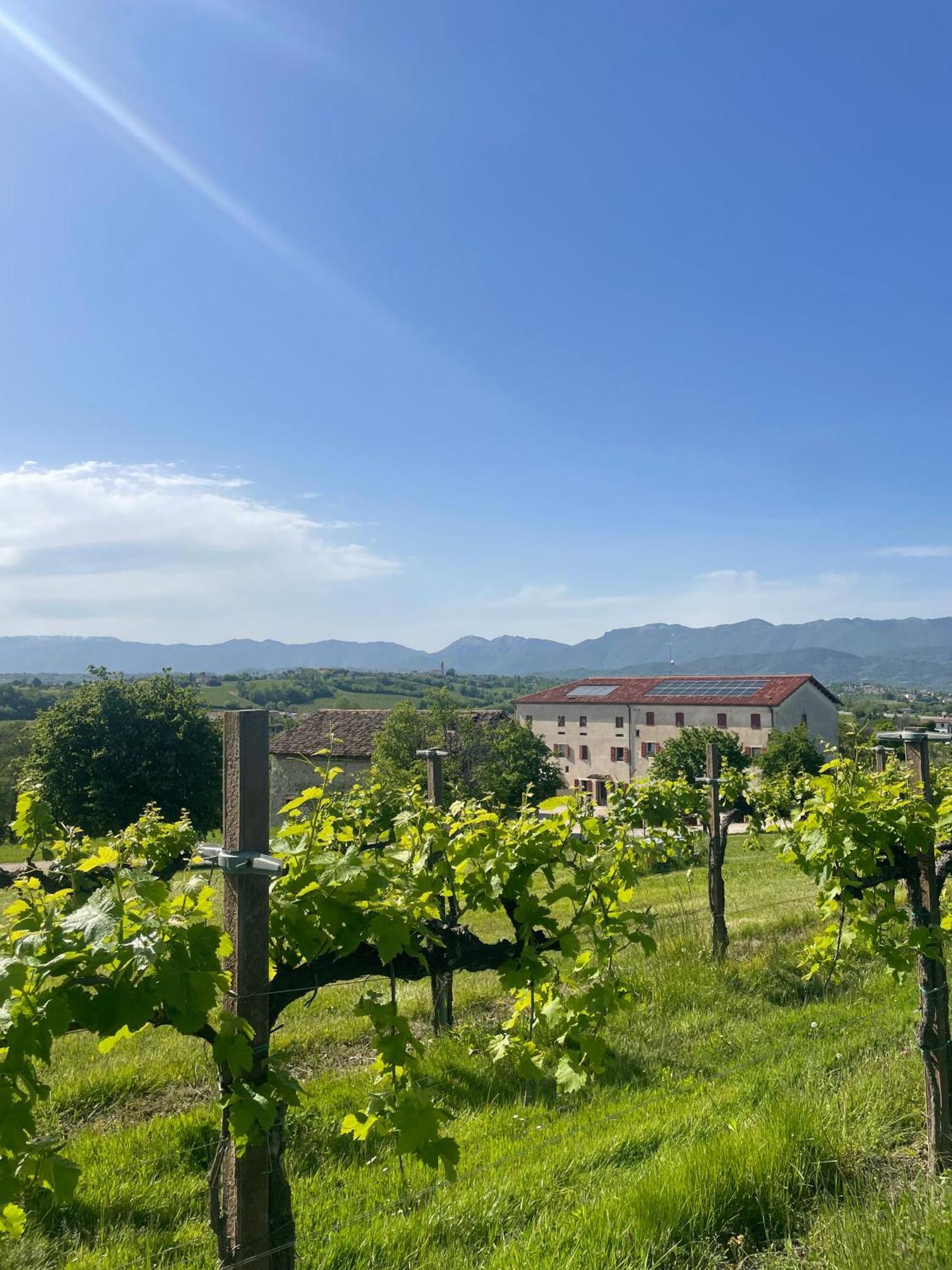 San Fior di Sopra Al Vecchio Convento-Tenuta Malvolti מראה חיצוני תמונה